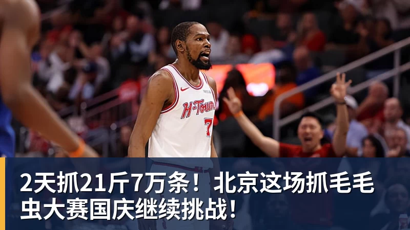 2天抓21斤7万条！北京这场抓毛毛虫大赛国庆继续挑战！